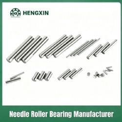Needle roller